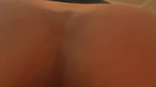 Bonitabellaca