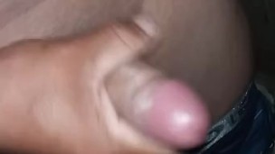 Delicioso pájaro