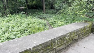 Crazy girl gives sloppy handjob in a highly frequented park with a huge cumshot – risky!