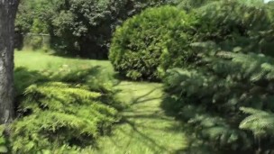 Peeing in the Park